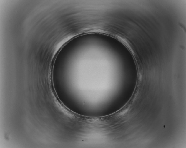 X0000099961149200806061600