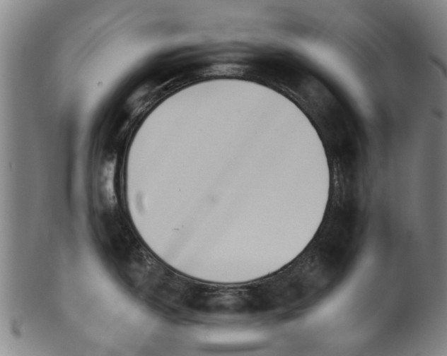 X0000099961150200806061600