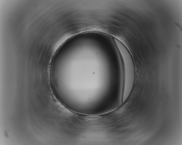 X0000099961151200806061600