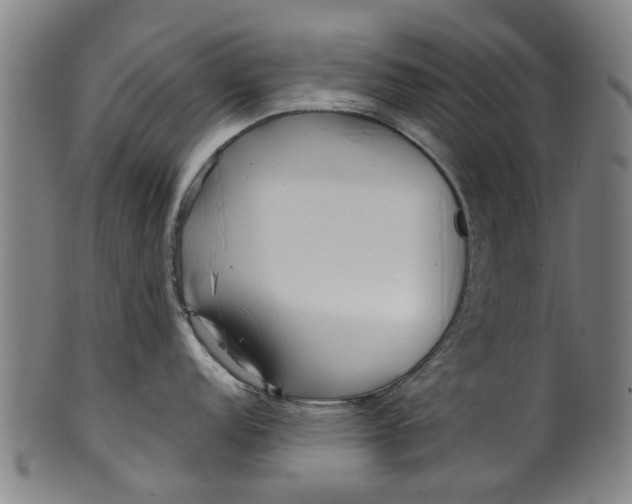 X0000099961152200806061600
