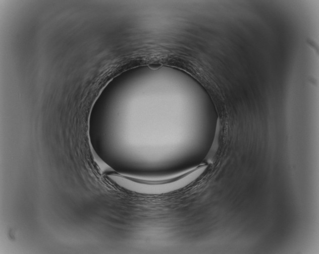 X0000099961153200806061559