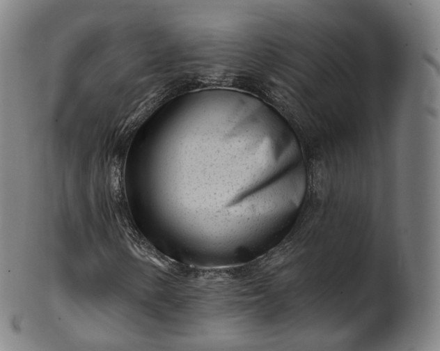 X0000099961154200806061559