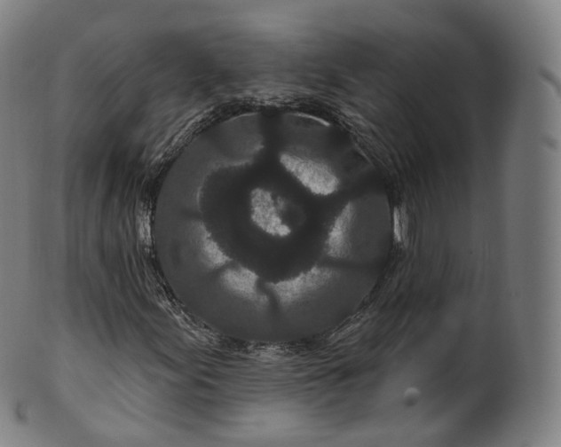 X0000099961155200806061559