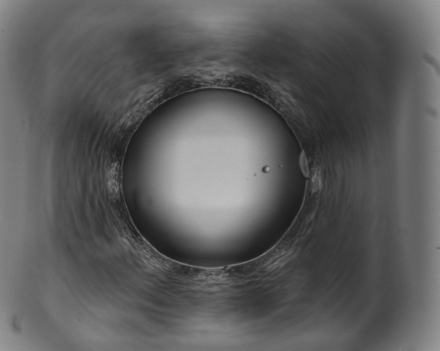 X0000099961156200806061559