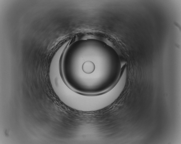 X0000099961157200806061559