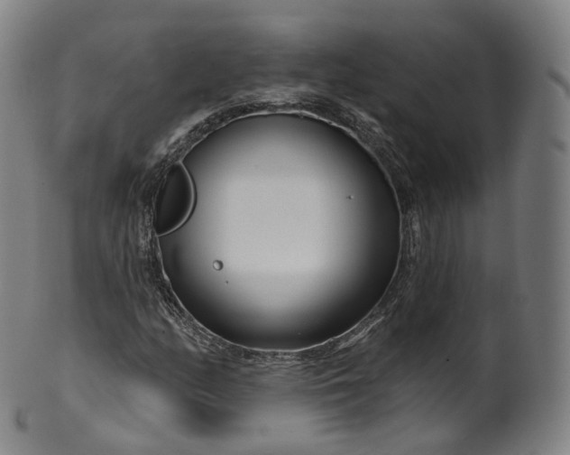 X0000099961158200806061559