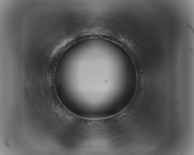 X0000099961159200806061559