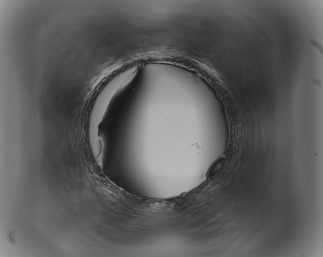 X0000099961160200806061559