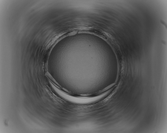 X0000099961161200806061559