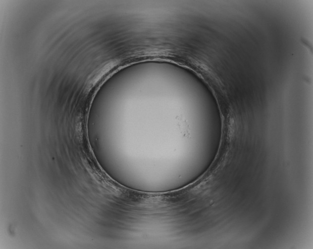 X0000099961162200806061559