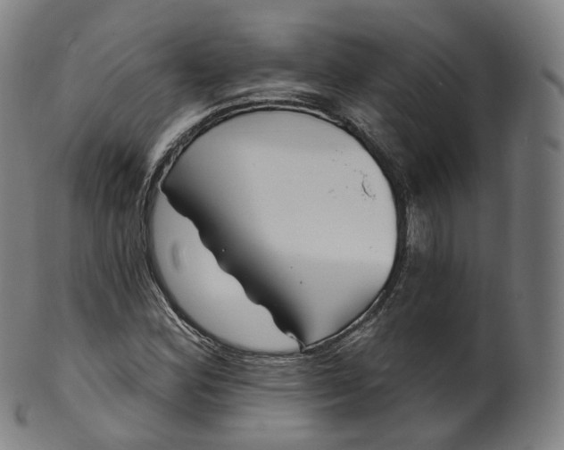 X0000099961164200806061559