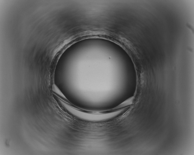 X0000099961165200806061559