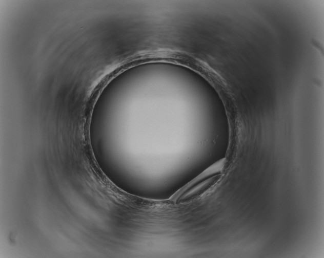 X0000099961166200806061559