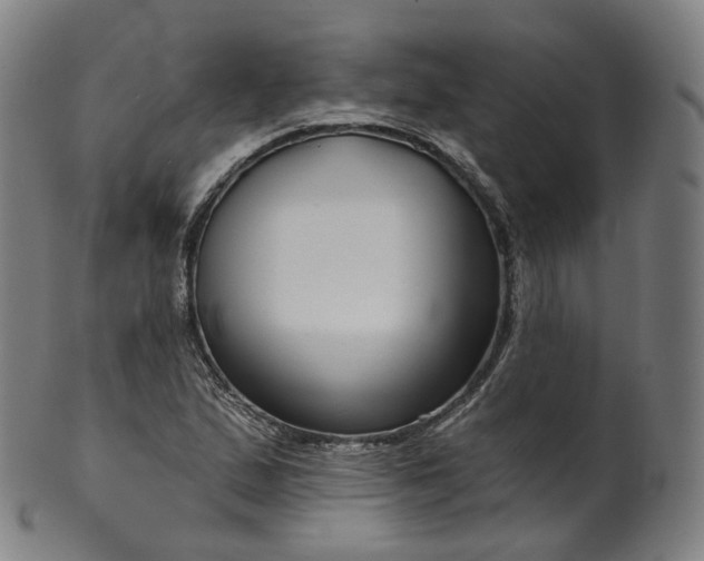 X0000099961167200806061559