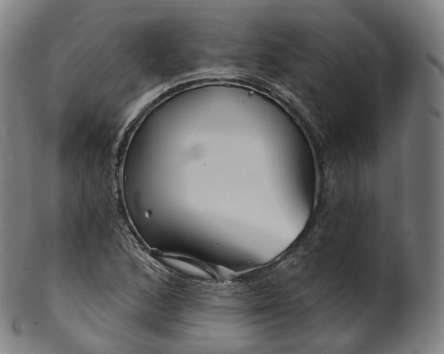 X0000099961168200806061559