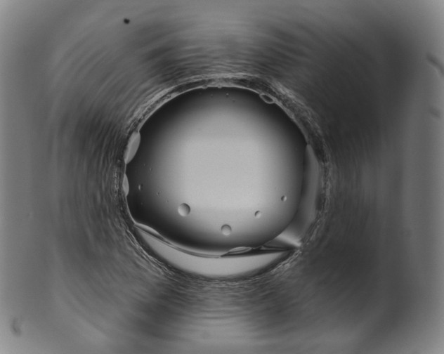 X0000099961169200806061559