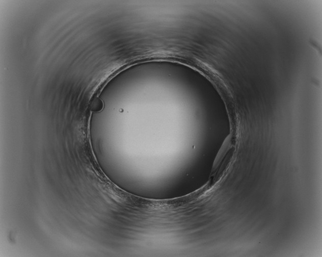X0000099961170200806061559
