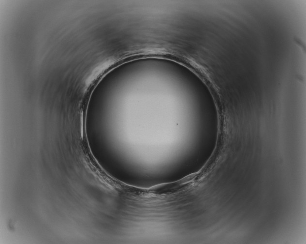 X0000099961171200806061559