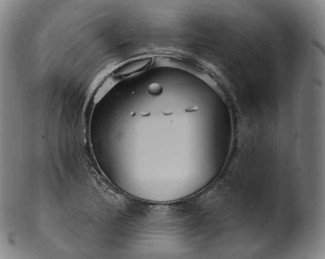 X0000099961172200806061559