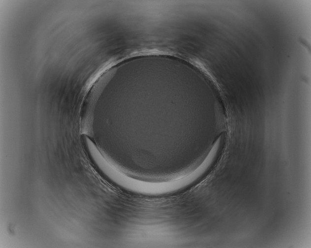 X0000099961173200806061559