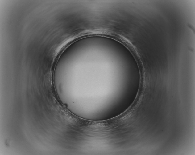 X0000099961174200806061559