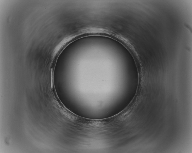X0000099961175200806061559