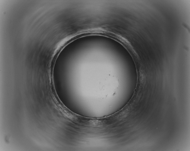 X0000099961176200806061559