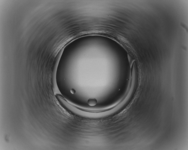 X0000099961177200806061559