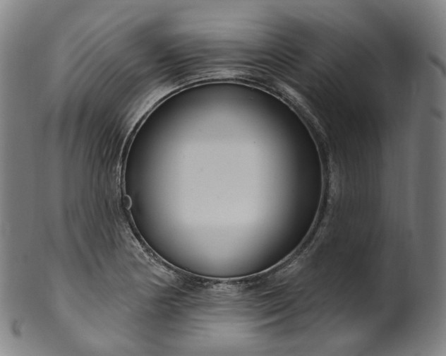 X0000099961178200806061559