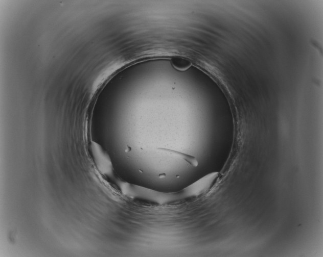 X0000099961179200806061559