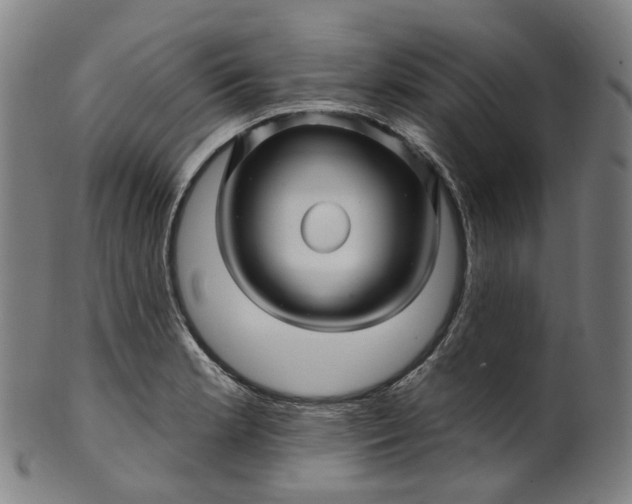 X0000099961181200806061559