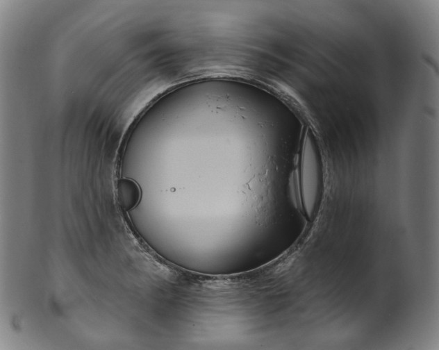 X0000099961182200806061559