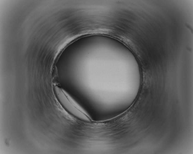 X0000099961184200806061558
