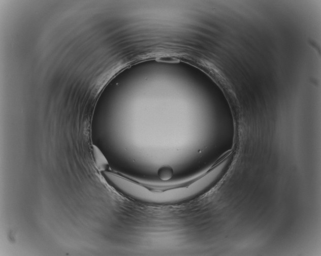 X0000099961185200806061558