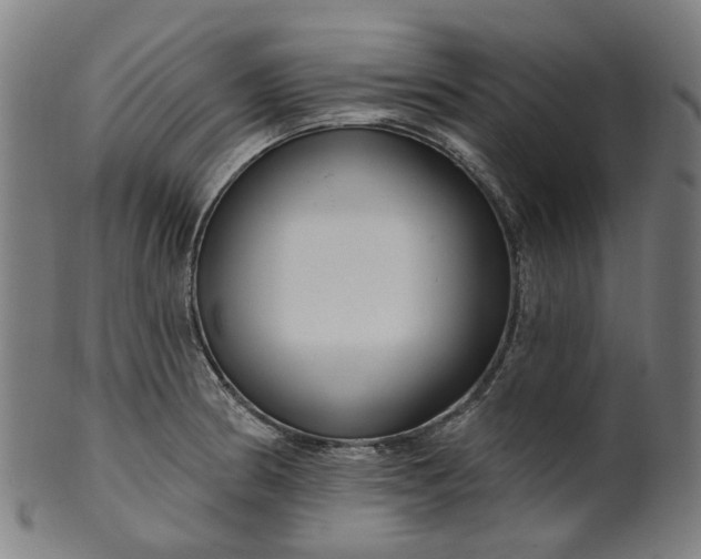 X0000099961186200806061558