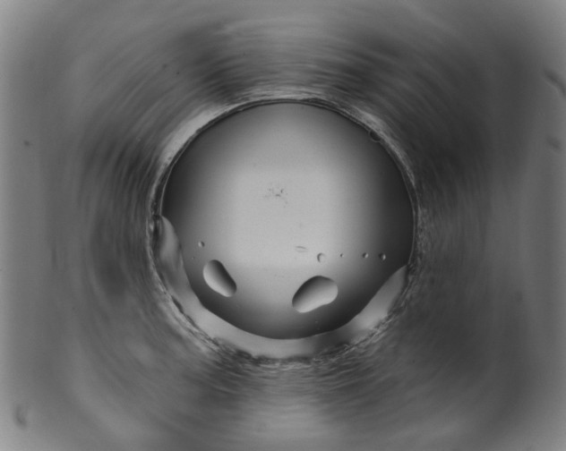 X0000099961187200806061558