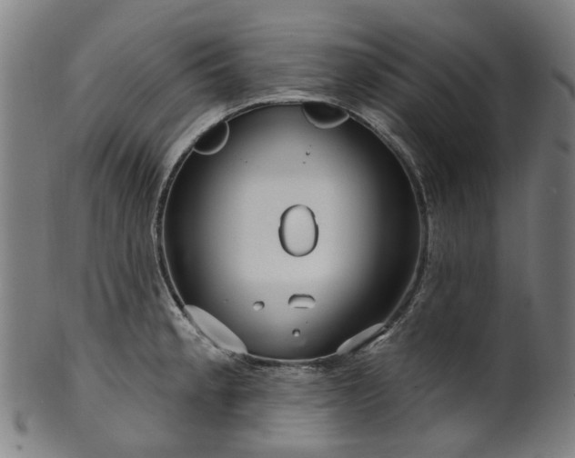 X0000099961189200806061558