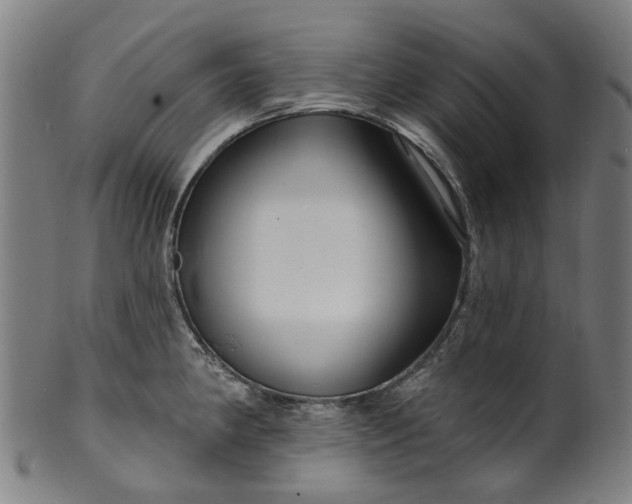 X0000099961190200806061558