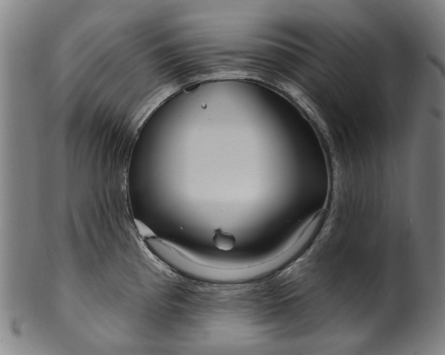 X0000099961193200806061558