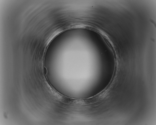 X0000099961194200806061558