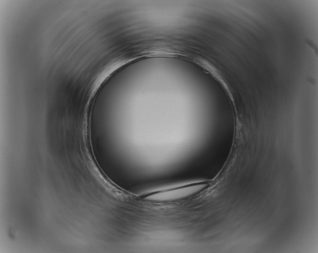 X0000099961195200806061558