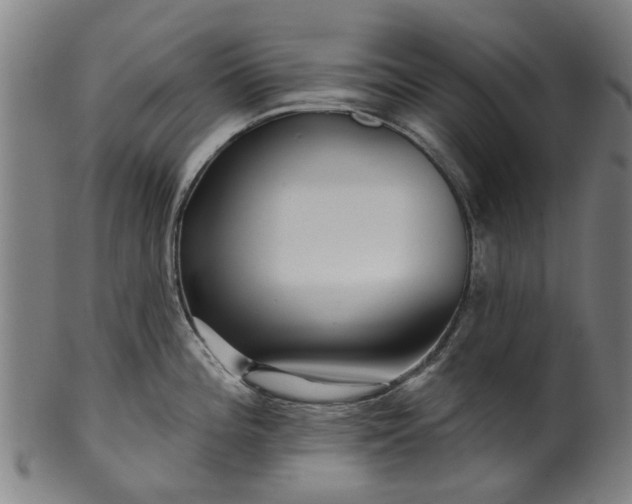 X0000099961196200806061558