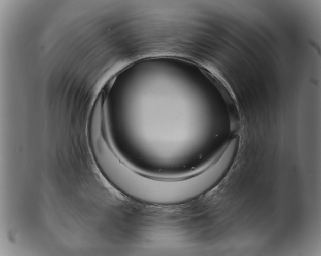 X0000099961197200806061558