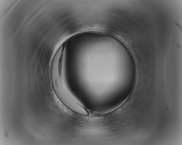 X0000099961200200806061558