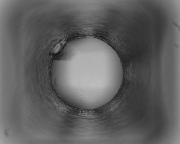 X0000099961201200806061558