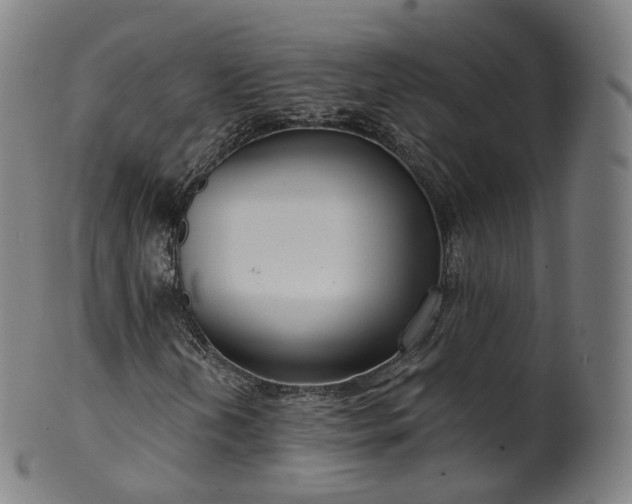 X0000099961202200806061558