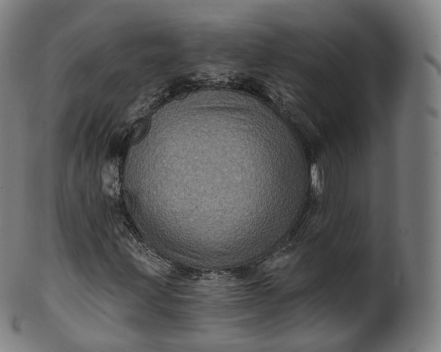 X0000099961203200806061558