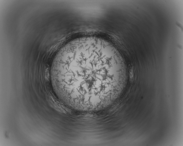 X0000099961204200806061558
