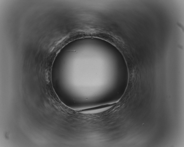 X0000099961205200806061558