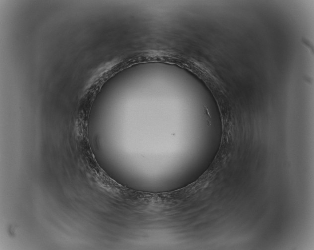 X0000099961207200806061558